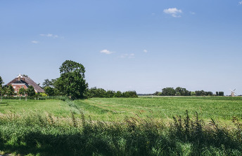 decoratieve afbeelding