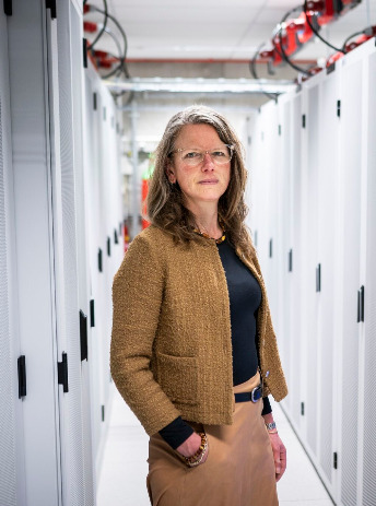 decoratieve afbeelding