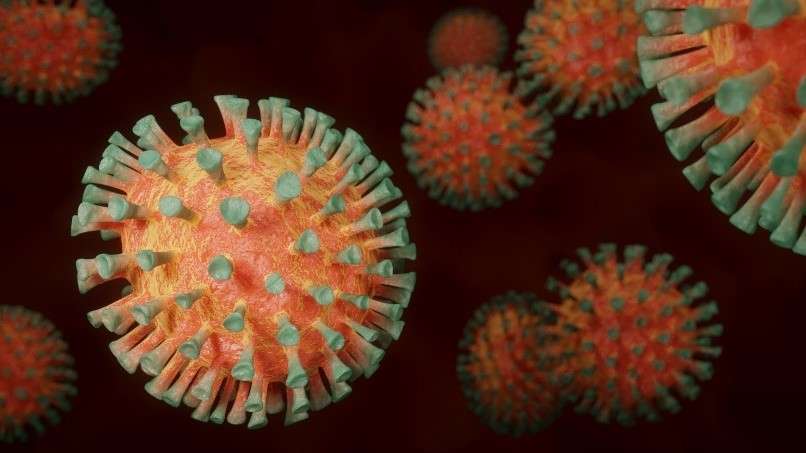 Corona virus