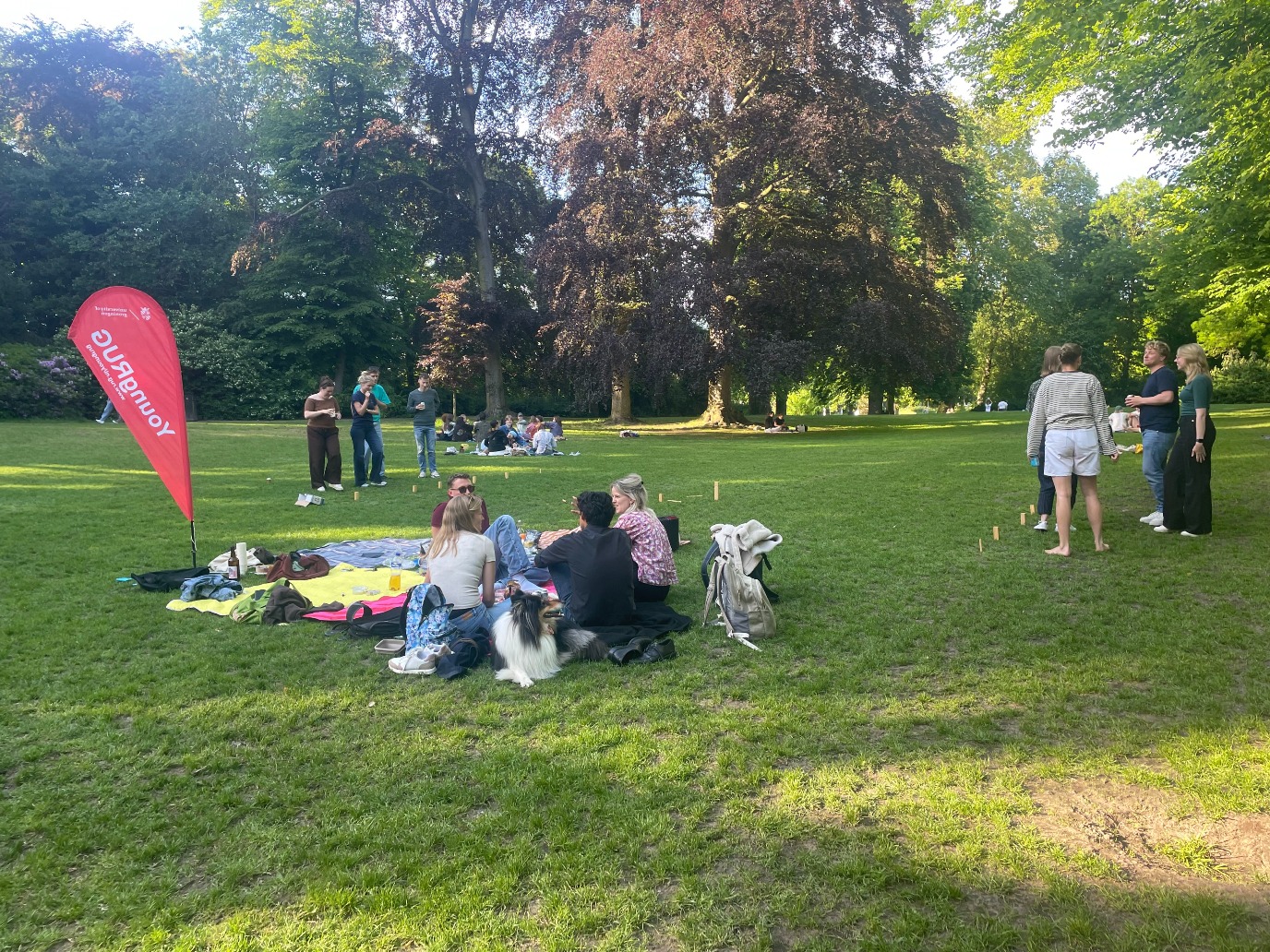Social drinks in Noorderplantsoen 