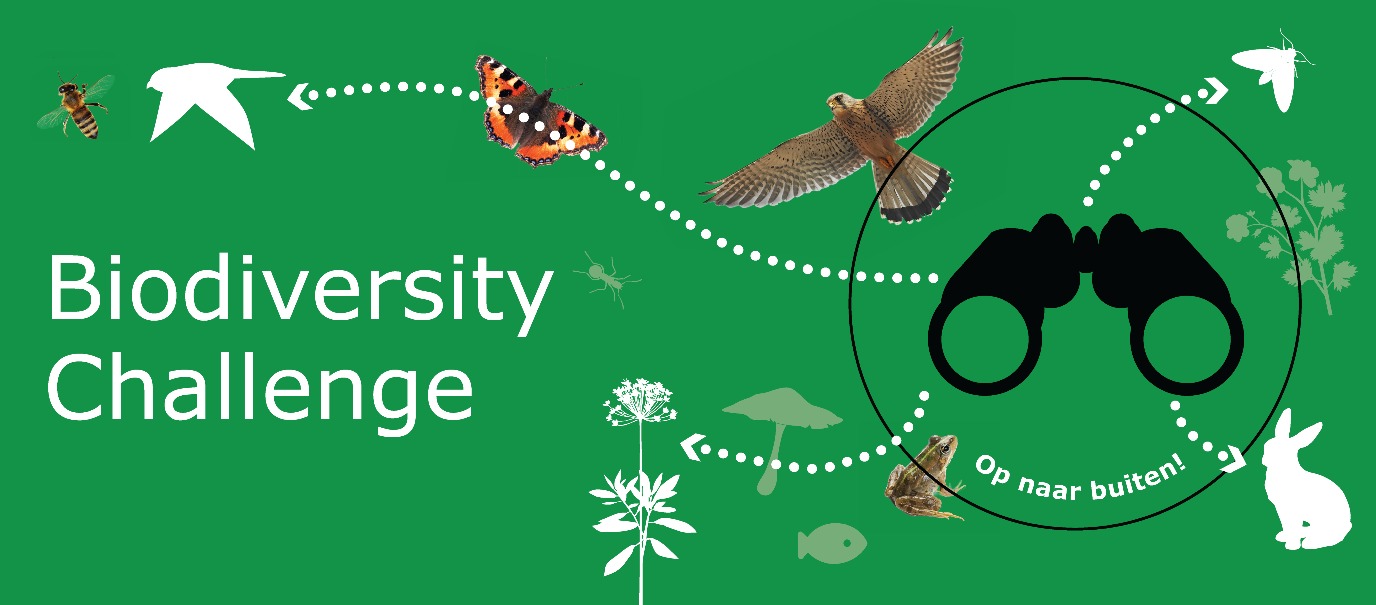 decoratieve afbeelding