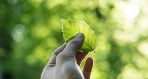 Green Growth course