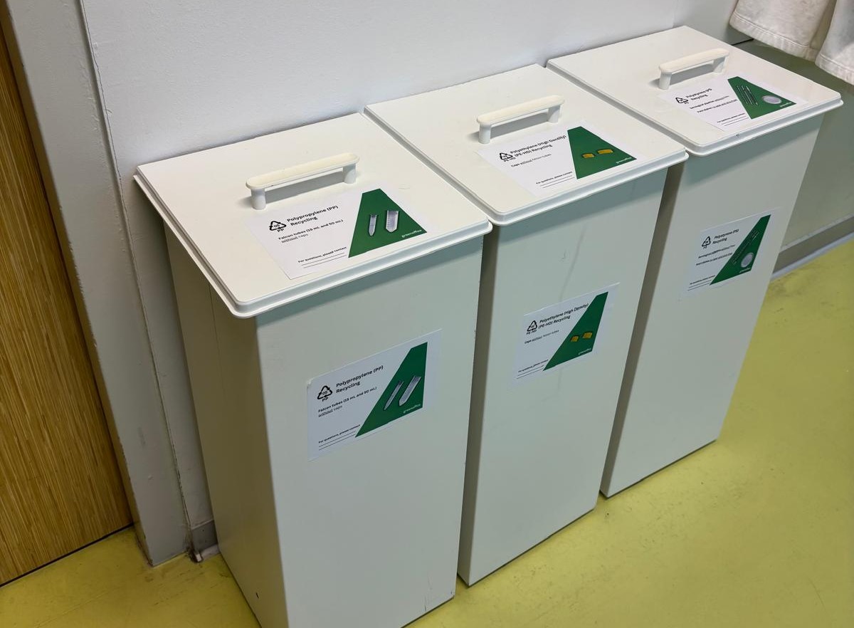 decoratieve afbeelding