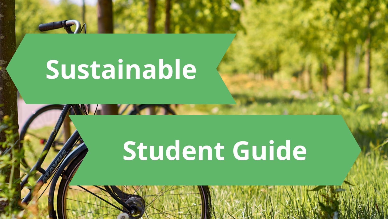 Sustainability during your study