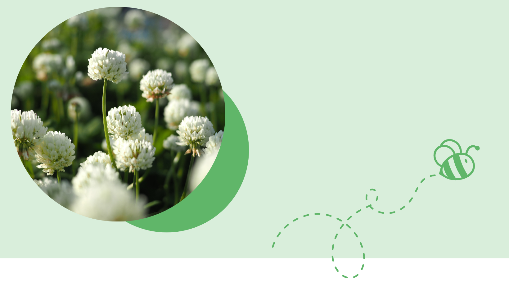 New sustainable business travel policy