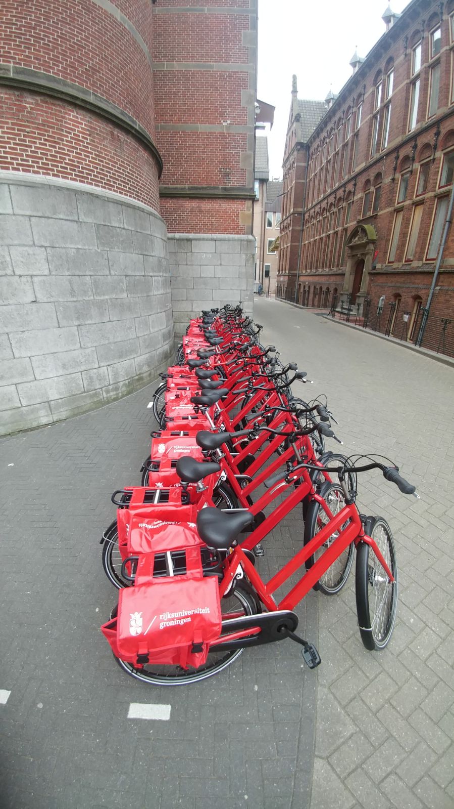 Campus bikes