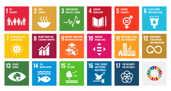 Sustainable Development Goals (SDGs)