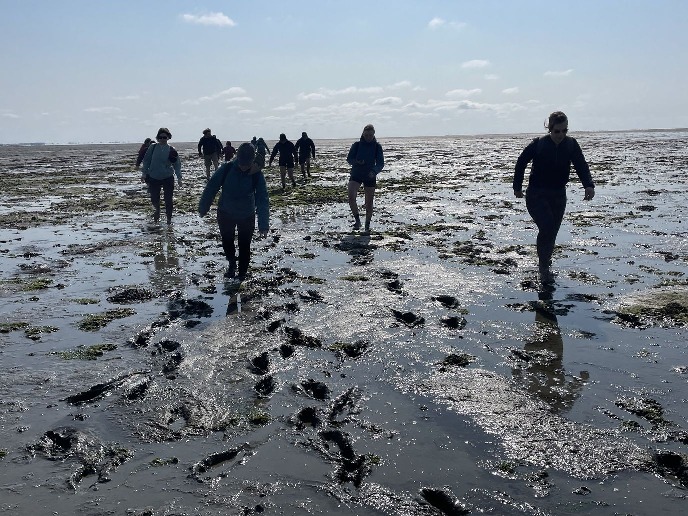 Wadlopen 2023