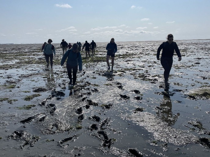 Wadlopen 2023Mudflat hiking 2023