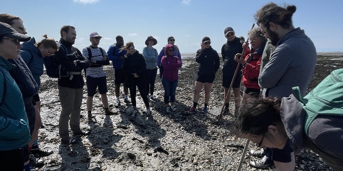 Wadlopen 2023Mudflat hiking 2023