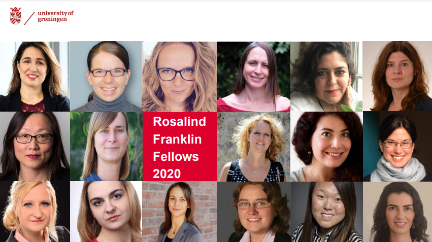 Meet the Fellows 2020