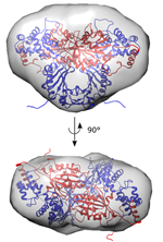 Parkinson-eiwit