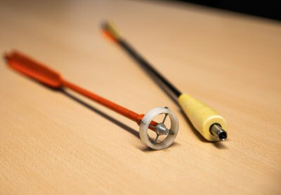 Arrows to collect skin biopsies