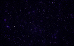 A myriad of radio galaxies around the North celestial pole seen for the first time thanks to LOFAR's unprecedented sensitivity" Image credit: Dr. Panos Labropoulos and Dr. Sarod Yatawatta, Astron