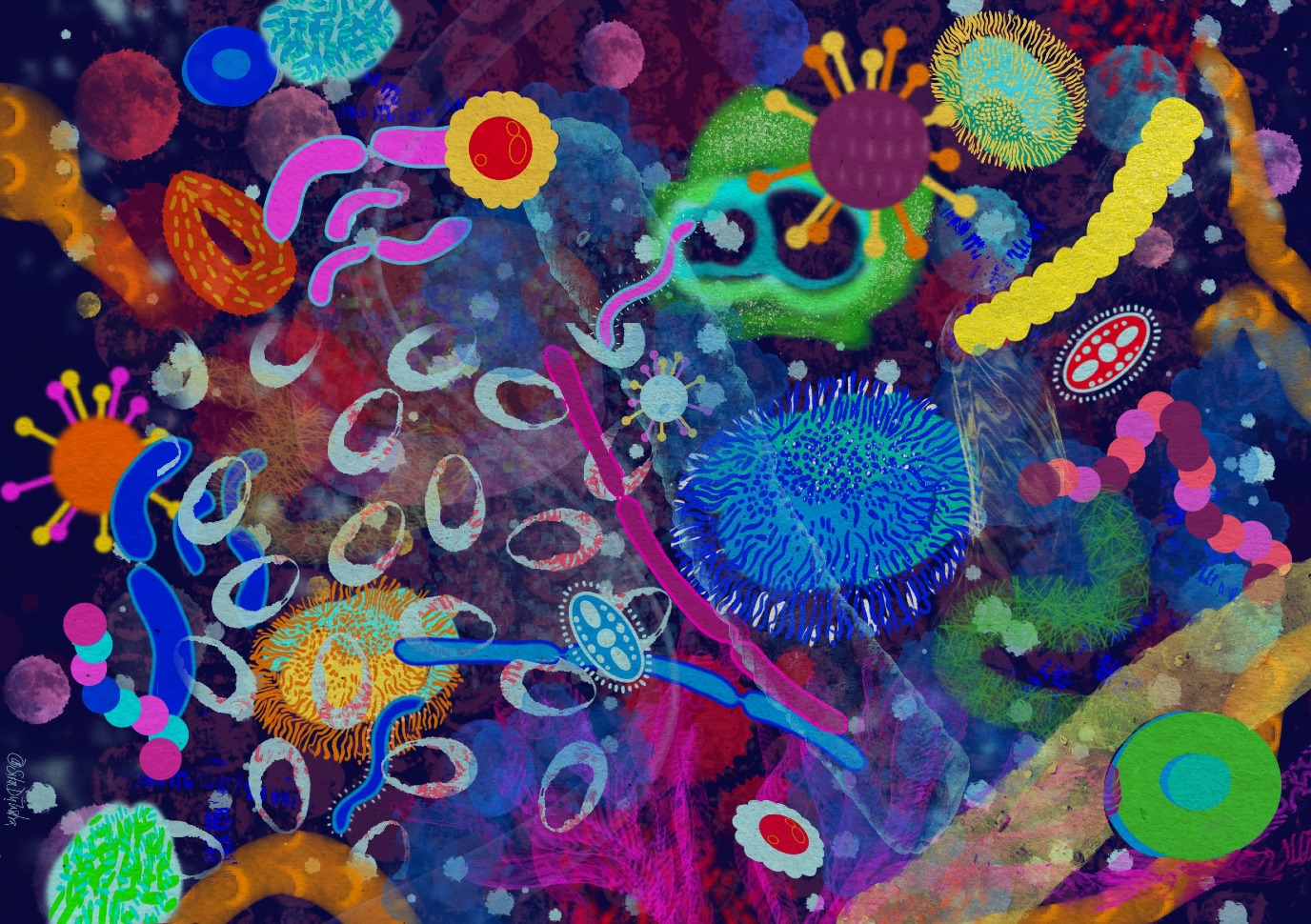decorative image