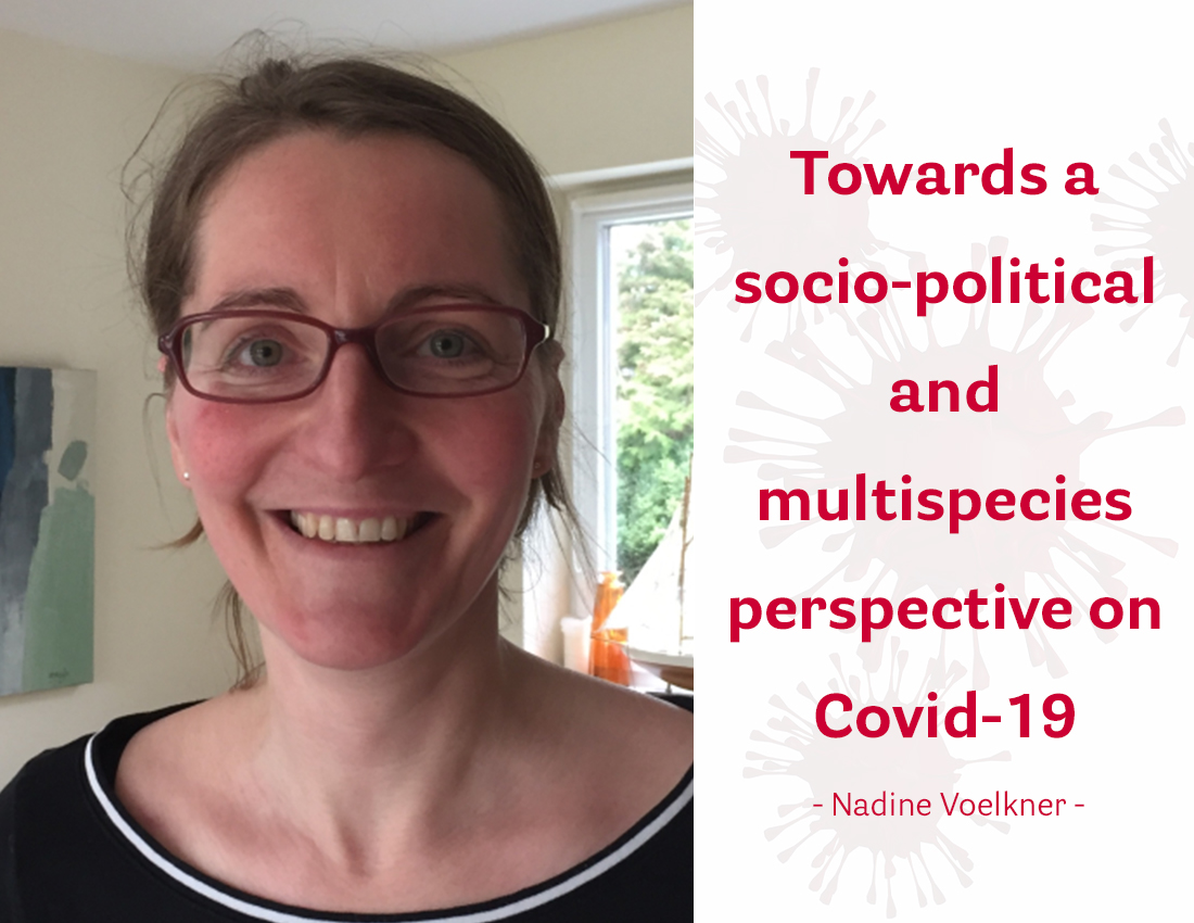 Towards a socio-political and multispecies perspective on Covid-19