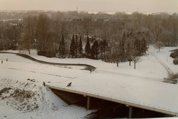 karel jan alsem 6