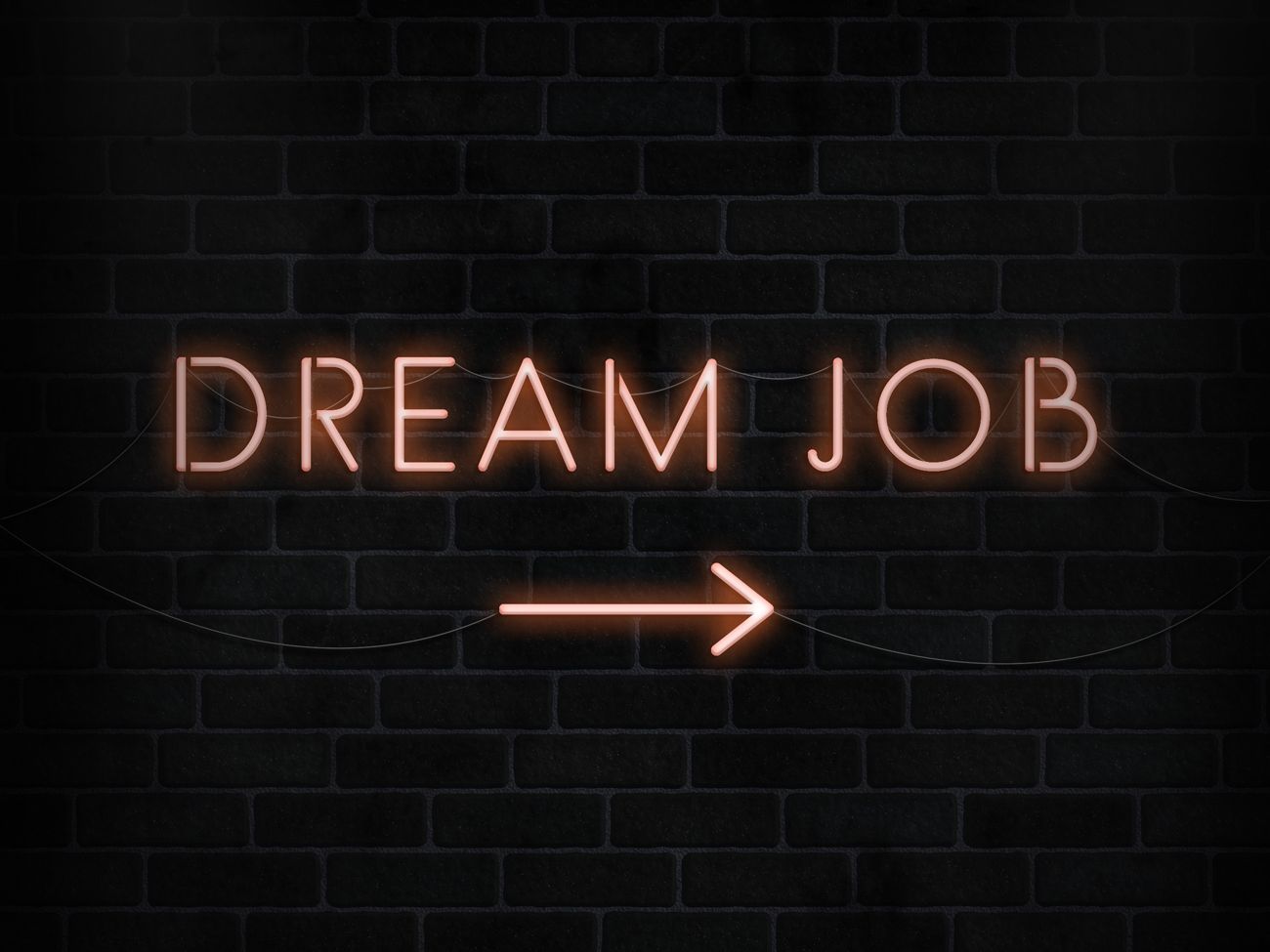 Seven Tips for Landing Your Dream Job After University | Over alumni ...
