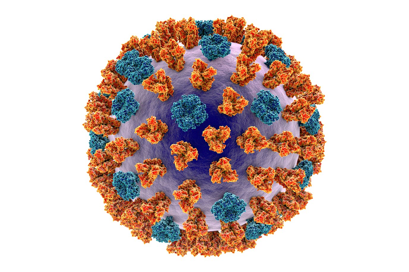 flu virus