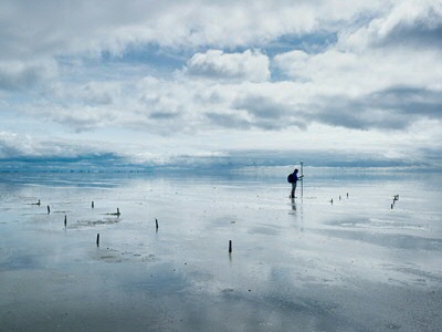 Collective Landscape