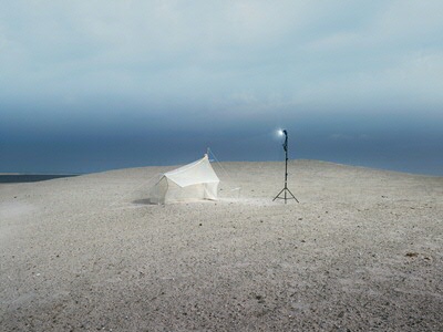Collective Landscape