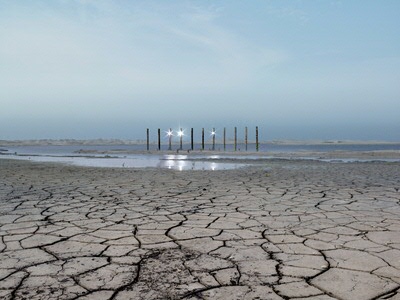 Collective Landscape