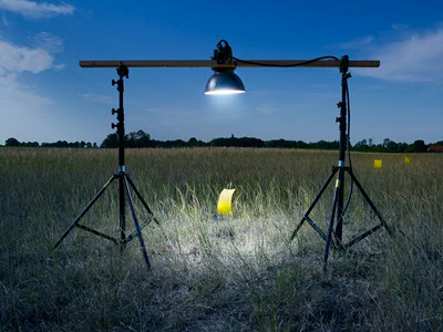 Collective Landscape
