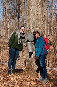 Trip to Albion Hills with Naomi exploring a small maple syrup farm