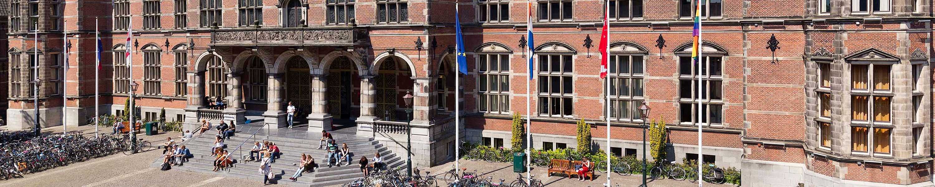 Internship at the Dutch Embassy South Africa, Pretoria Groninger