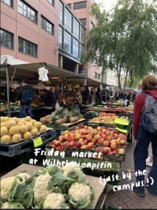Farmer's market on Friday