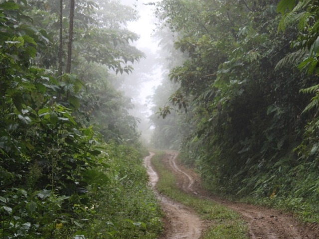 A muddy road through the forest. Community of Yokiri