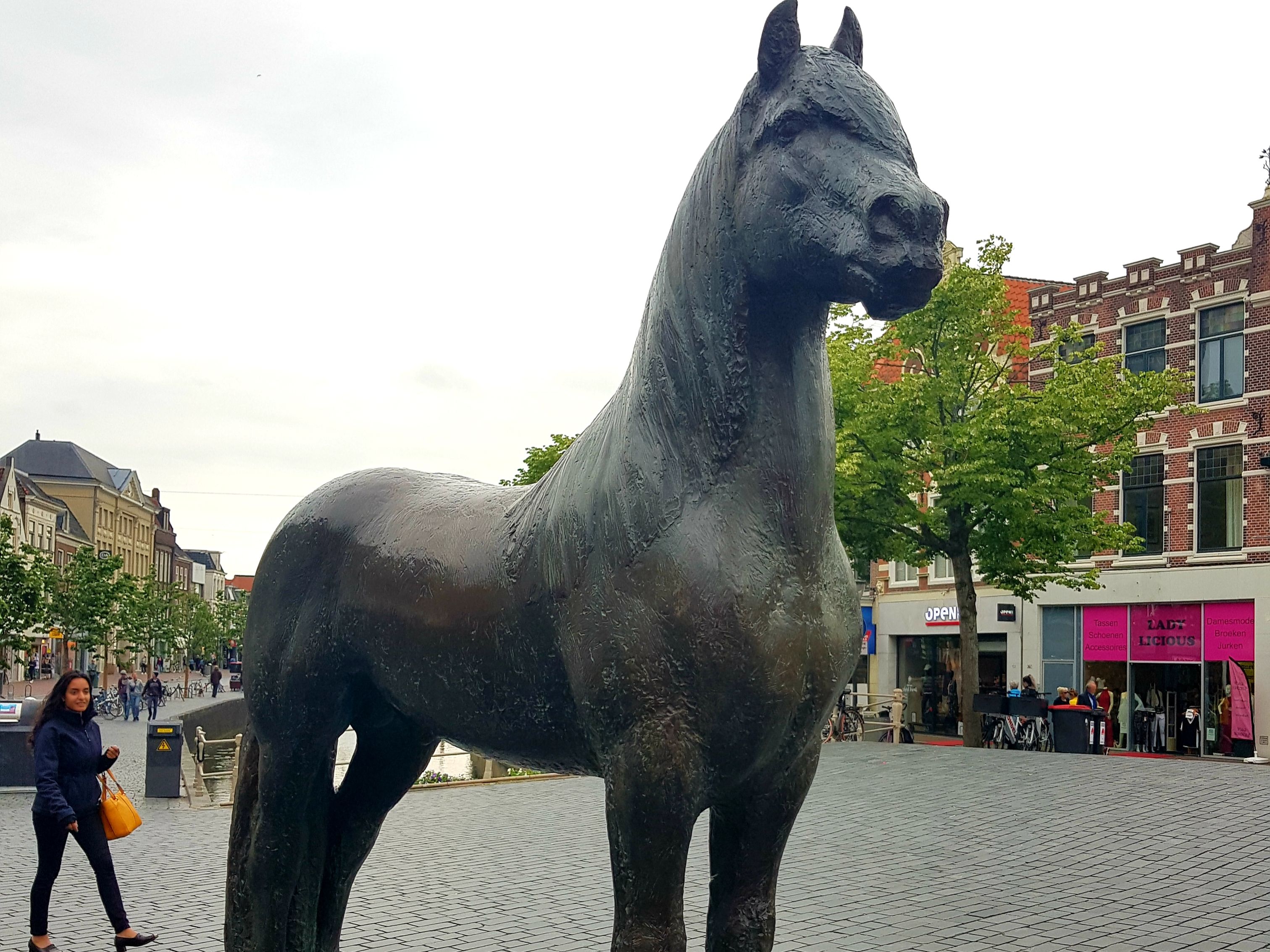 Famous horse at the Nieuwestad