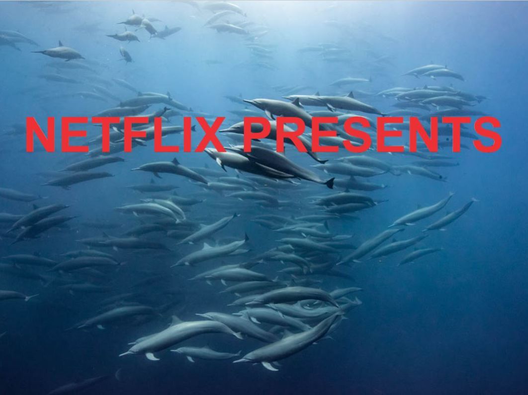 Our Planet on Netflix