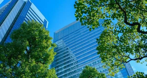 Sustainable Entrepreneurship