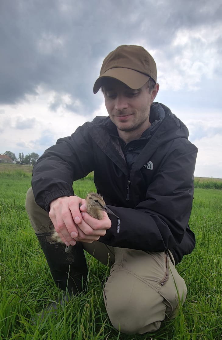 decoratieve afbeelding