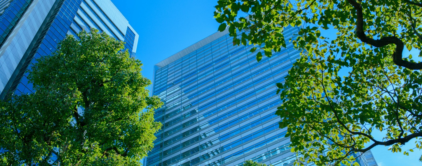 decoratieve afbeelding