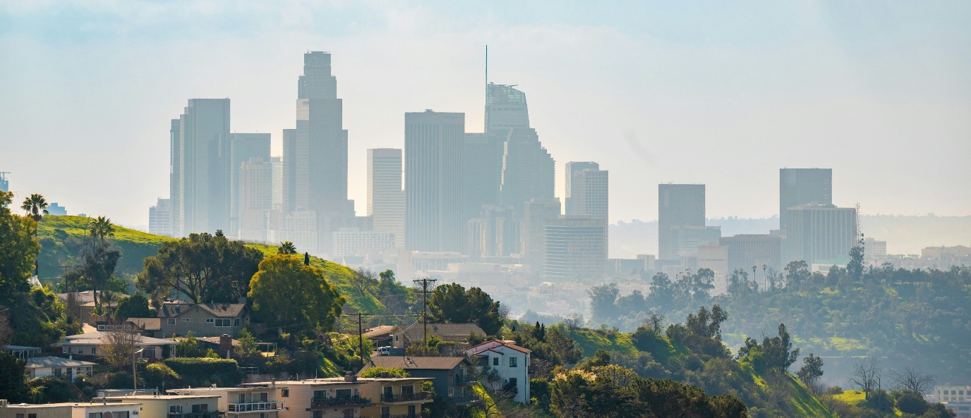 decoratieve afbeelding