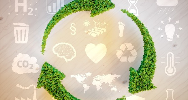 Centre for Transformative Education