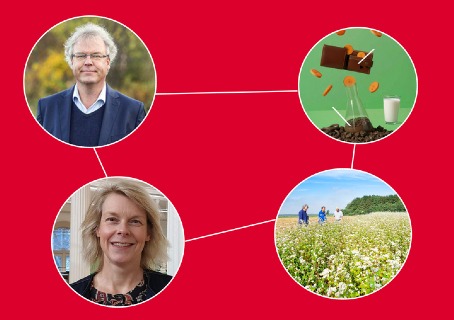 decoratieve afbeelding