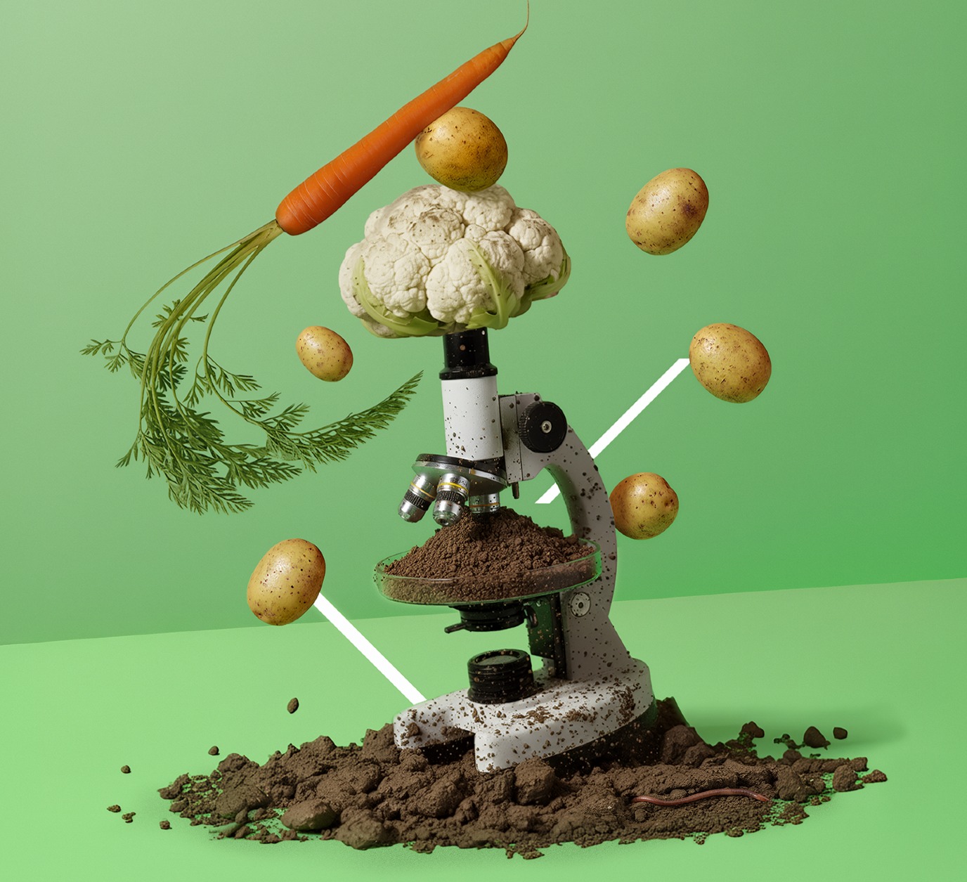 decoratieve afbeelding