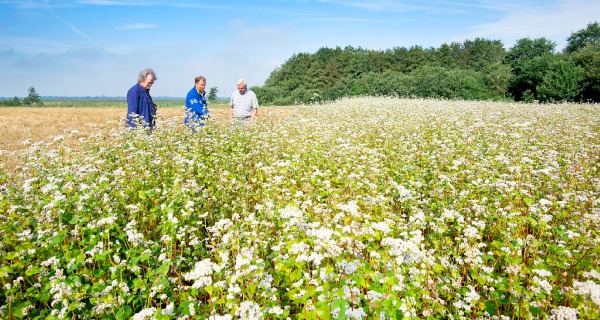 Centre for Sustainable Agriculture Transition