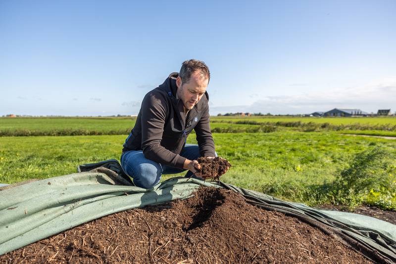 decoratieve afbeelding