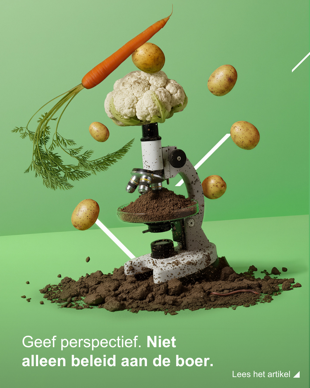 decoratieve afbeelding
