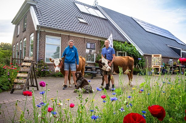 decoratieve afbeelding