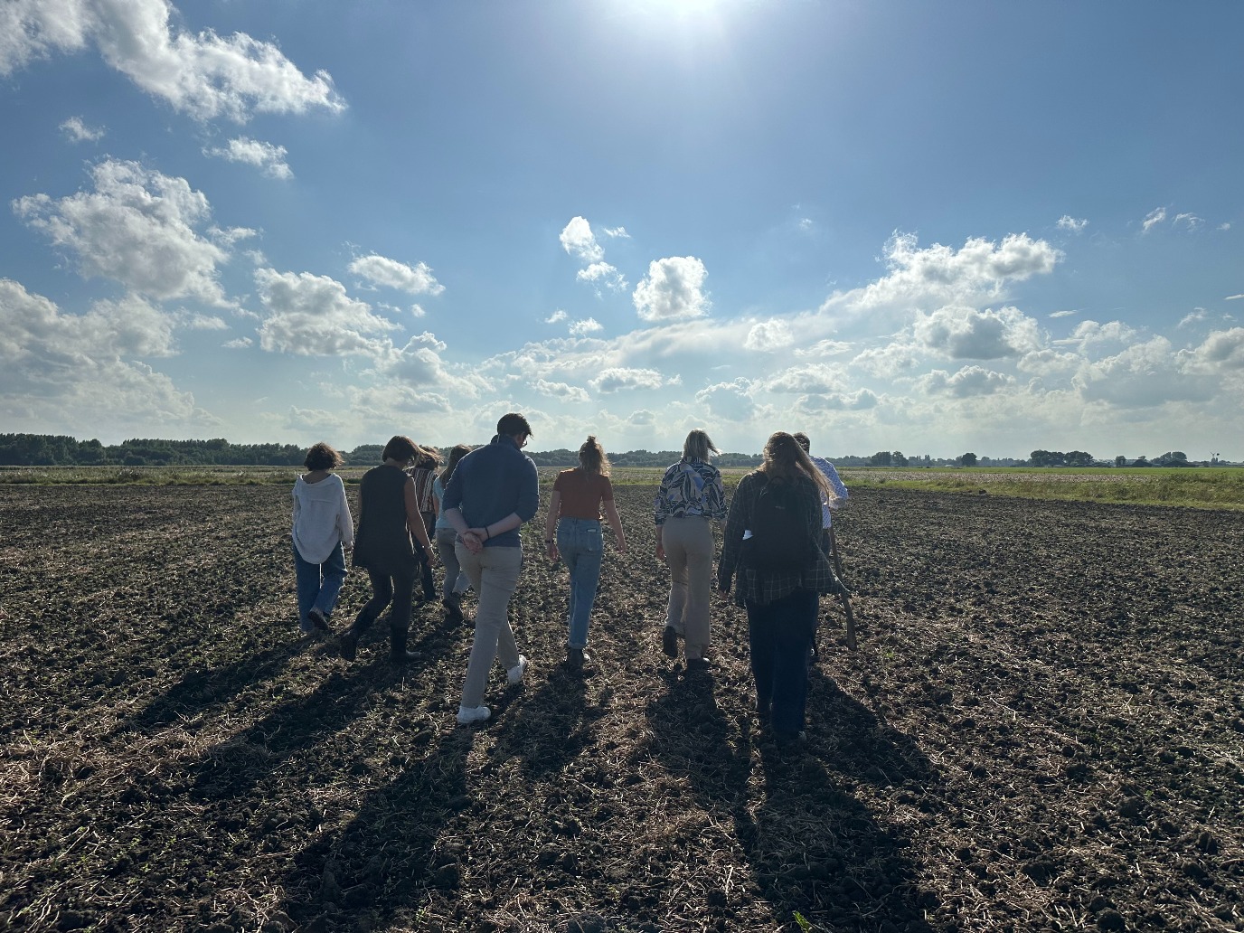 decoratieve afbeelding