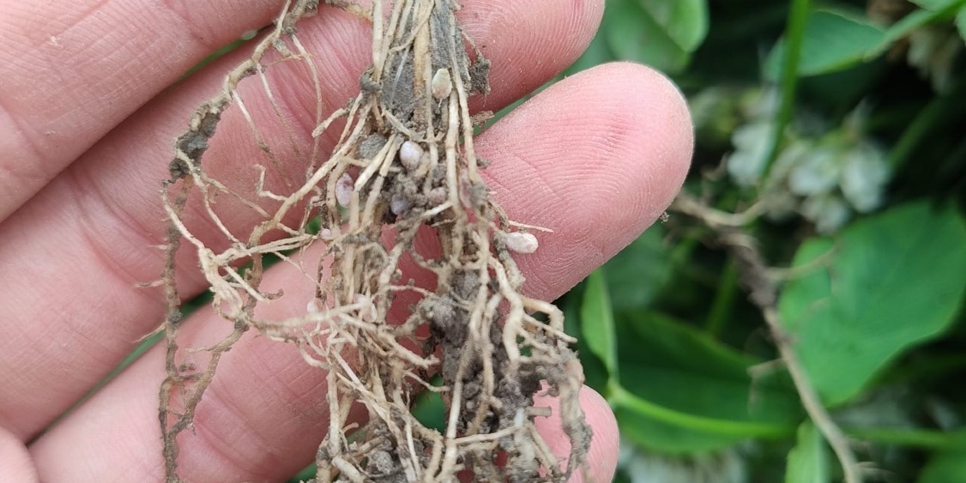 Onderzoek & Educatie