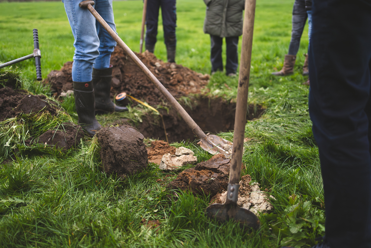 decoratieve afbeelding