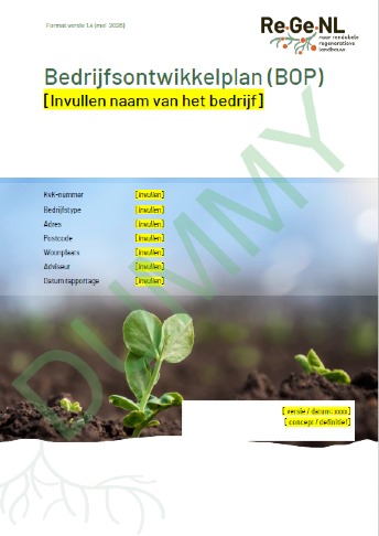 decoratieve afbeelding