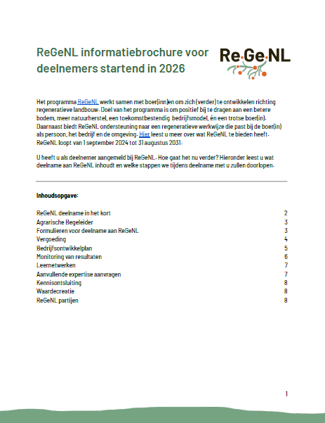 decoratieve afbeelding