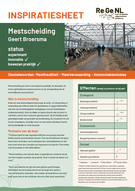 decoratieve afbeelding